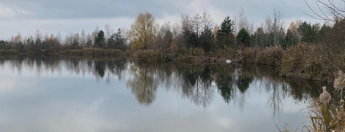 Тягле is one of озера Києва.
