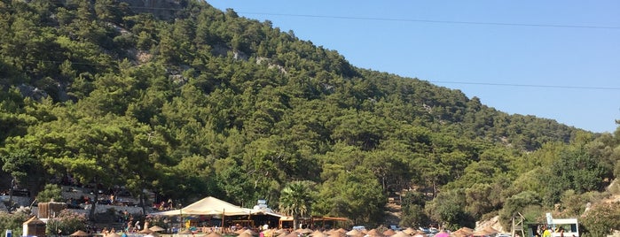 Aşı Koyu is one of สถานที่ที่ Erhan ถูกใจ.