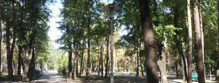 Сосновый парк / Pine Park is one of Almaty #4sqCities.