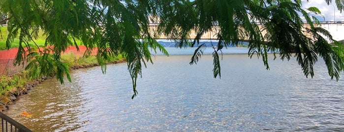 Puente Honestino Guimarães is one of Pontos Turísticos de Brasília.