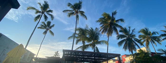 Praia do Sul is one of Favoritos.