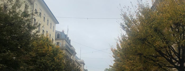 Square de Chantepoulet is one of Geneva.