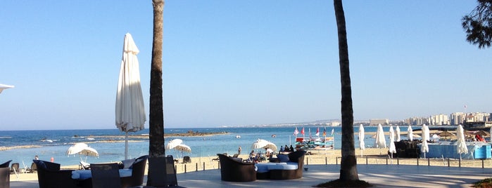Arkın Palm Beach Hotel is one of Posti che sono piaciuti a Zehra.
