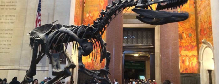 American Museum of Natural History is one of Minha lista.