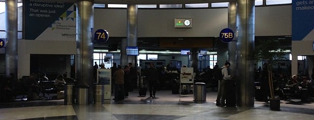 Terminal 7 is one of Senator: сохраненные места.