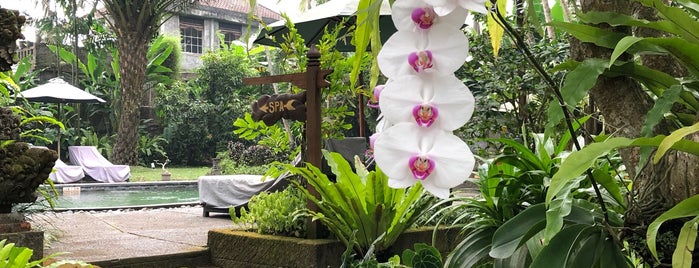 De Munut Balinese Resort is one of Bali.