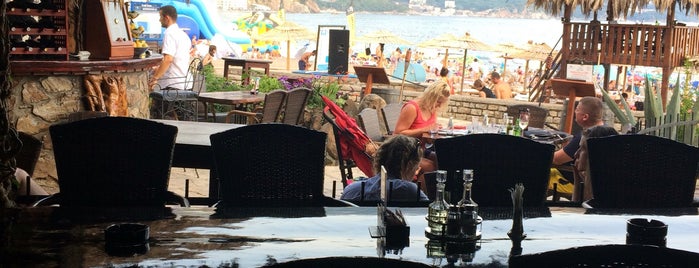 Ant is one of Budva.