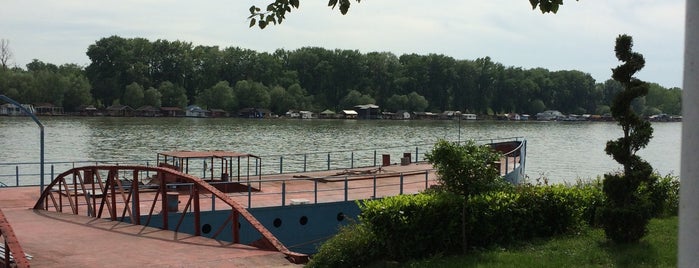 Marinada is one of beograd klopica.