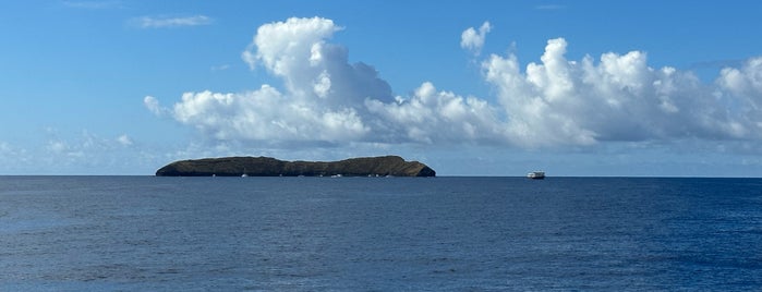 Molokini Crater is one of Maui's Top Spots.