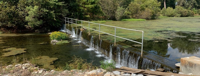Magnolia Springs State Park is one of Statesboro.