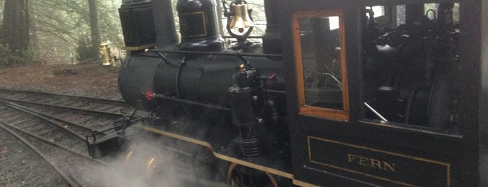 Tilden Steam Train is one of Visit.