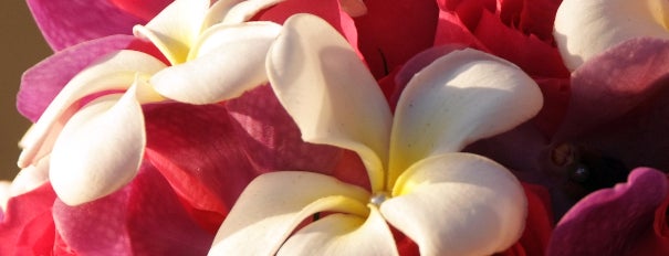 Maui Elegance Floral Design is one of Maui, Hawaii.