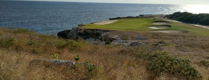 Blue Bay Golf is one of Orte, die SV gefallen.
