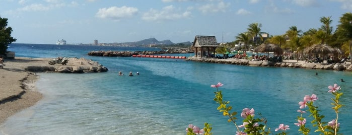 Seaquarium Beach is one of Curacao Must Do.