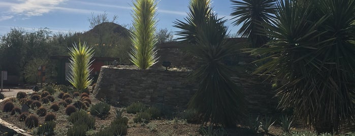 Desert Botanical Garden is one of Nicholas : понравившиеся места.