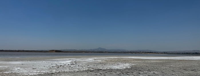 Larnaca Salt Lake is one of Galina: сохраненные места.