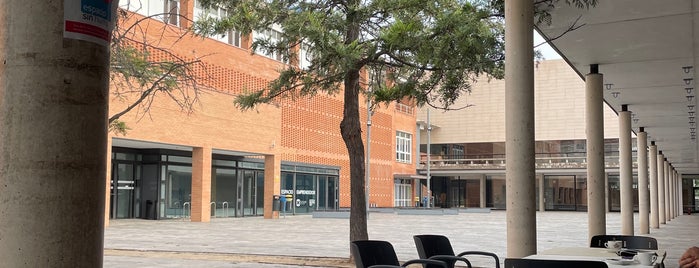 Campus de Gandia - Universitat Politècnica de València is one of Trabajo.
