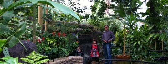 Franklin Park Conservatory and Botanical Gardens is one of Ohio in Bloom.