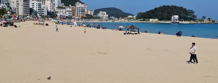 Songjeong Beach is one of 부산광역시 송정동/기장군.