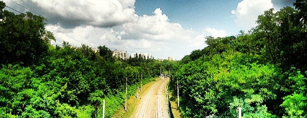 Парк «Нивки» is one of Kiev.