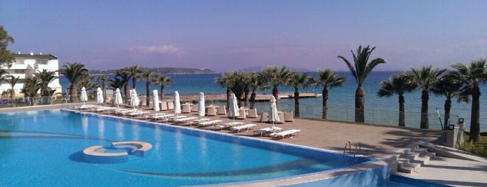 Boyalık Beach Hotel Kahvaltı Salonu is one of Locais curtidos por FATOŞ.
