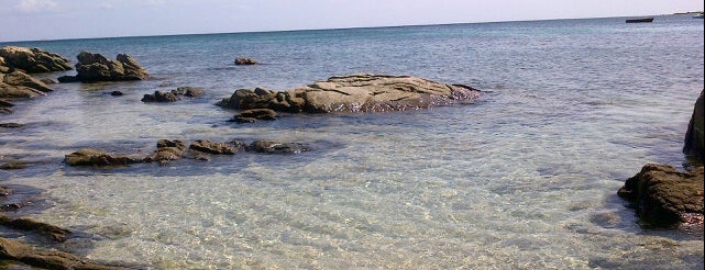 Cala D'Ambra is one of Stefanoさんの保存済みスポット.