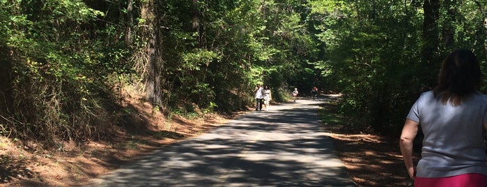 Little Mulberry Park is one of places to run in Georgia.