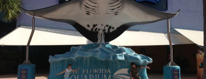 The Florida Aquarium is one of USA - Tampa.