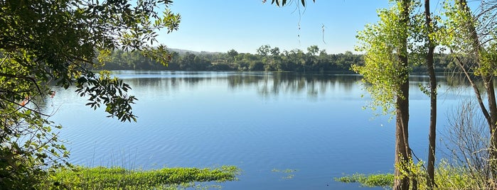 Riverfront Regional Park is one of Dog-friendly Trekking.