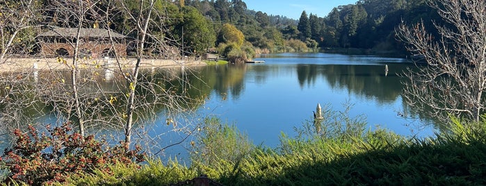 Temescal Regional Park is one of Locais curtidos por Matthew.