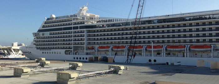Port Everglades Cruise Terminal 4 is one of Locais curtidos por Cicely.