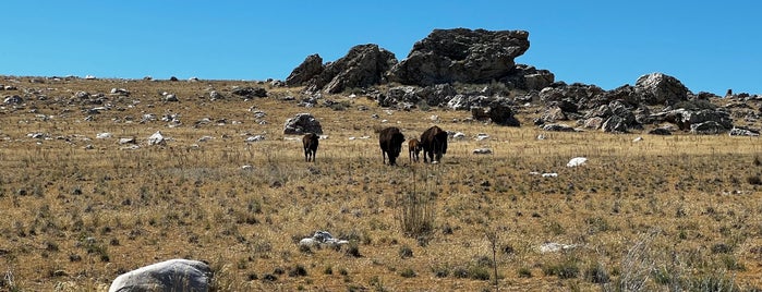 Fielding Garr Ranch is one of Antelope Island.