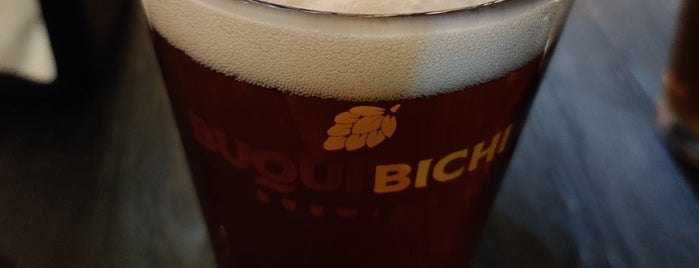 Buqui Bichi Brewing is one of VIAJES 2.