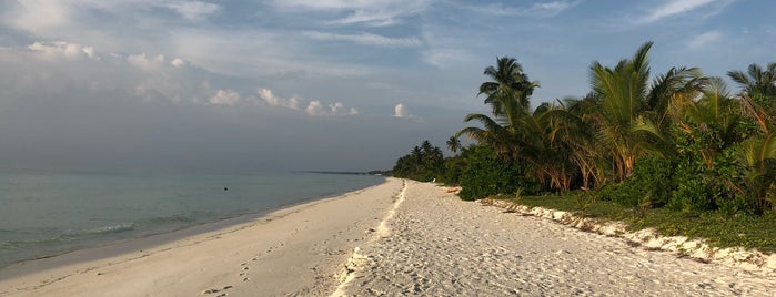 Baywatch beach is one of Vacation Spots.