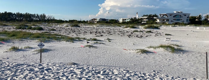 North Lido Beach is one of Favorite places in Manatee county.