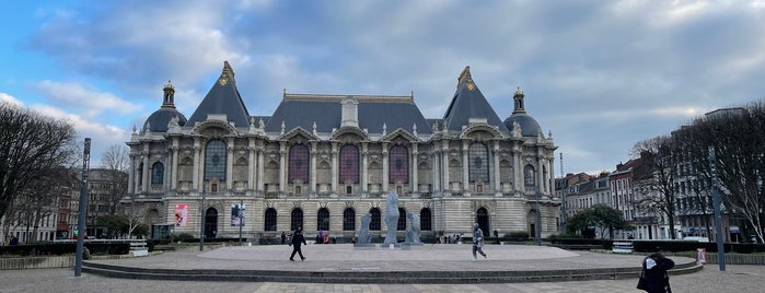 Palais des Beaux Arts de Lille is one of Lille Awesomyz.