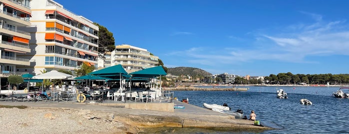 Perseverantia Cafe Beach Club is one of Mallorca.