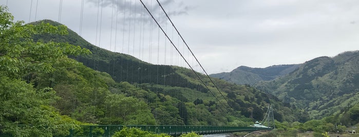 もみじ谷大吊橋 is one of JPN00/7-V(7).