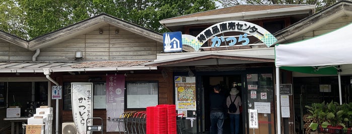 Michi no Eki Katsura is one of 道の駅1.