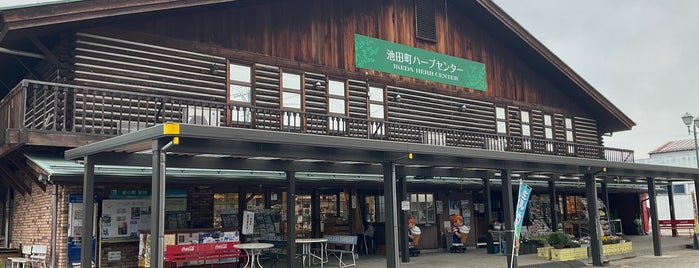 Michi no Eki Ikeda is one of 道の駅 中部.