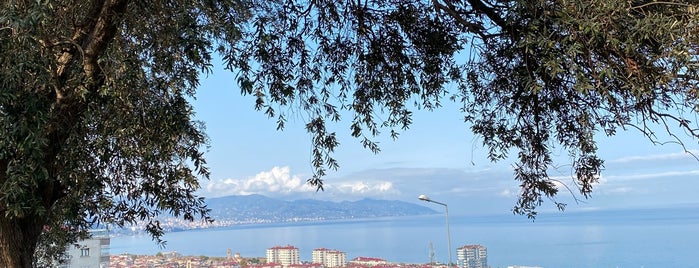 Trabzon ☔️