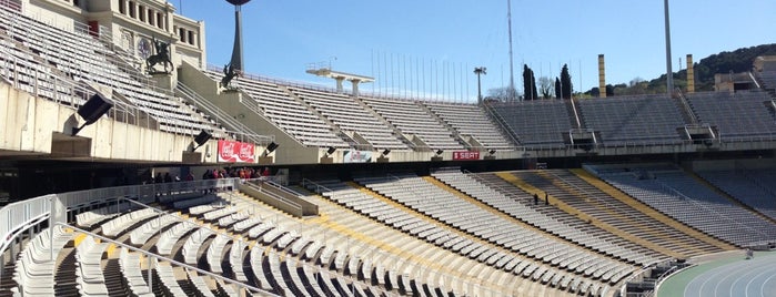 Estadio Olímpico Lluís Companys is one of Barcelona.