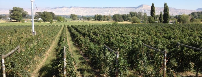 Whitewater Hill Vineyards is one of christopher’s Liked Places.