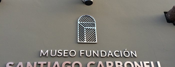 Museo Fundación Santiago Carbonell is one of Distrito del Diseño.