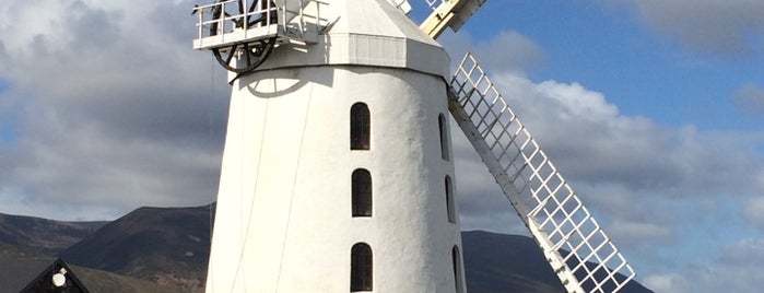 Blennerville Windmill is one of Tempat yang Disukai Will.