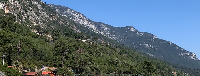 Turnalı Sahili is one of Tempat yang Disukai Ebru.