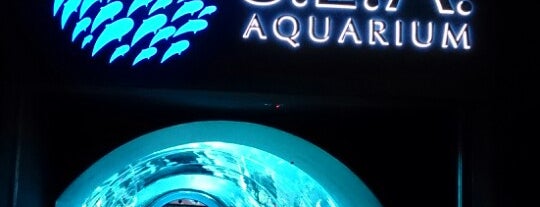 S.E.A. Aquarium is one of Singapura, SG.