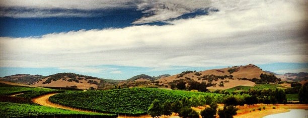 Cuvaison Estate Wines is one of california.