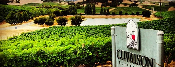 Cuvaison Estate Wines is one of Napa Valley.