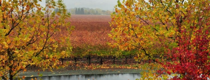 Groth Vineyards & Winery is one of Vino 🍷.